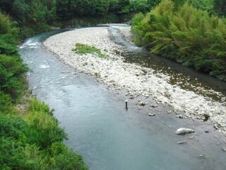 中紀_悠々と流れる有田川.jpg